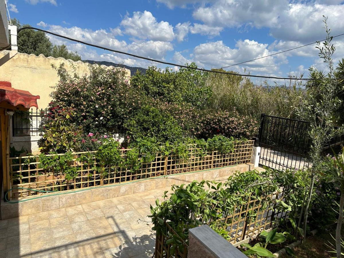 Welcome In Salamina Exterior foto